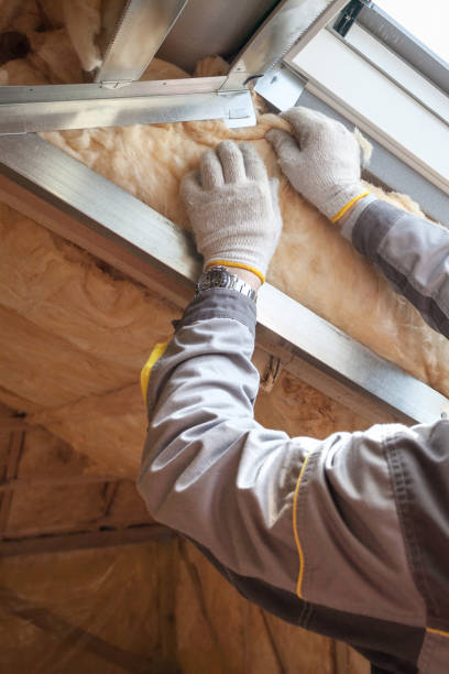 Best Commercial Insulation in Guthrie Center, IA