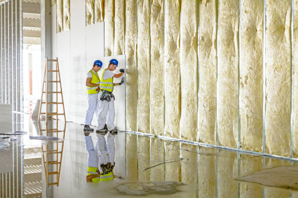 Best Eco-Friendly Insulation in Guthrie Center, IA